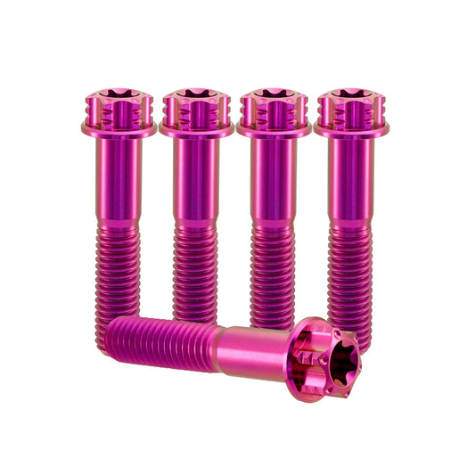 Titanium M8 Bolts T40 Torx - 5 Stück