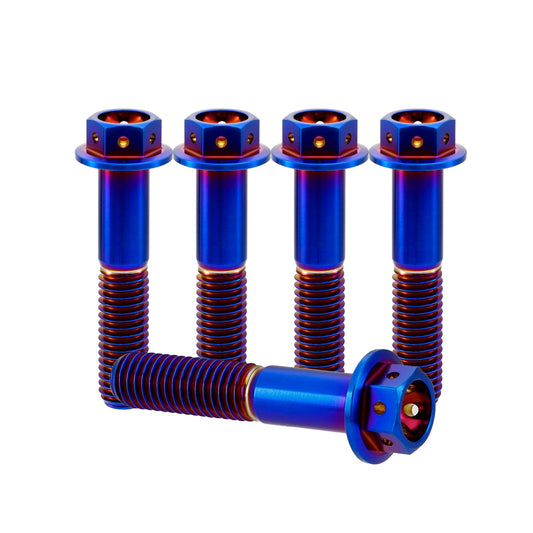 Titanium M6 Bolts - 5 Stück