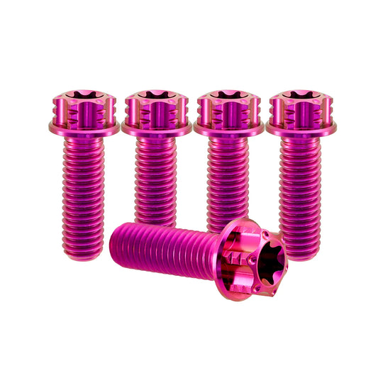 Titanium M8 Bolts T40 Torx - 5 Stück