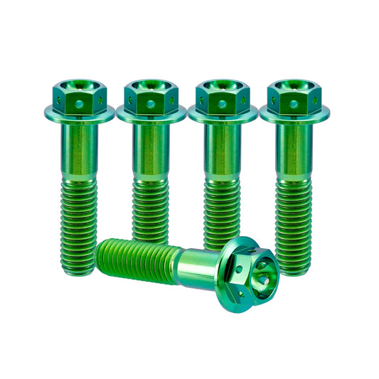 Titanium M5 Bolts – 5 Stück