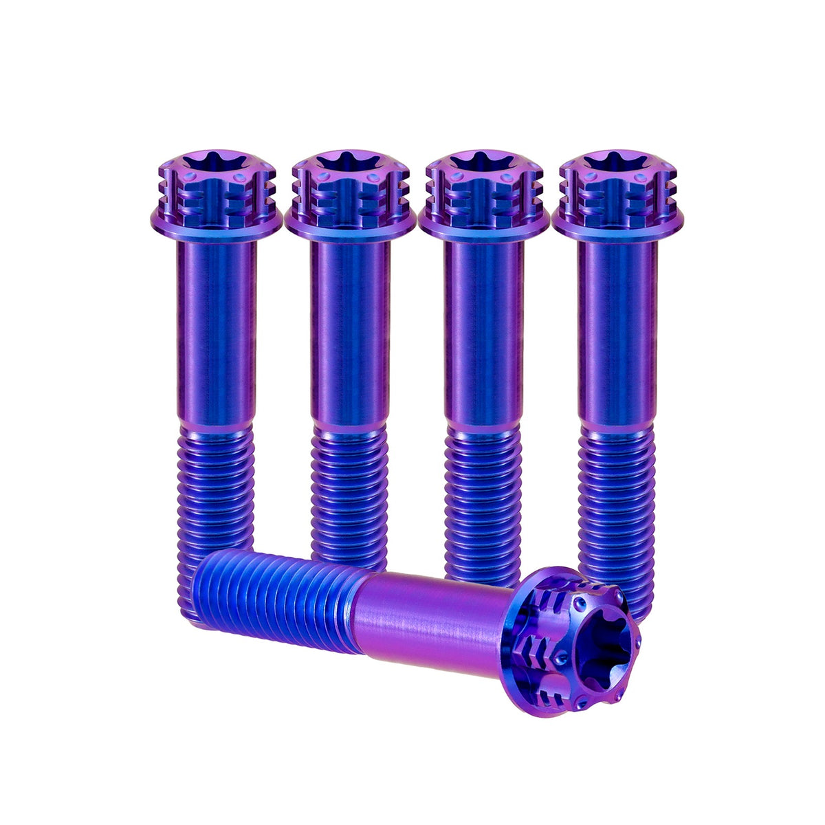 Titanium M6 Bolts T30 Torx - 5 Stück