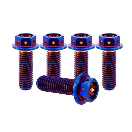 Titanium M10 Bolts - 5 Stück