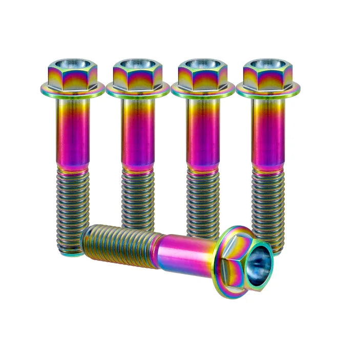 Titanium M6 Bolts - 5 Stück