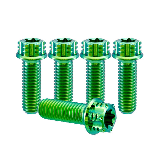 Titanium M6 Bolt T30 Torx - 5 Stück