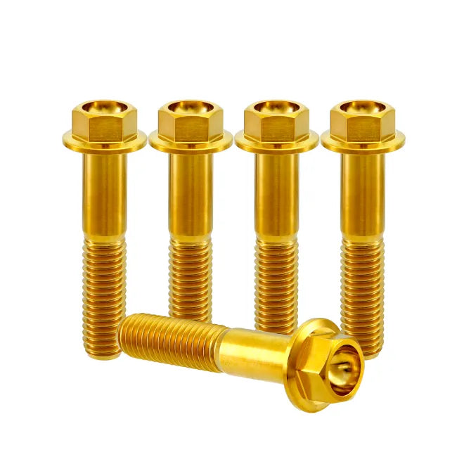 Titanium M10x1.25 Bolt – 5 Stück