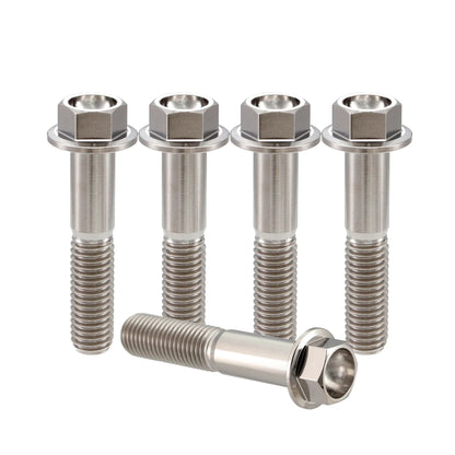 Titanium M6 Bolts - 5 Stück