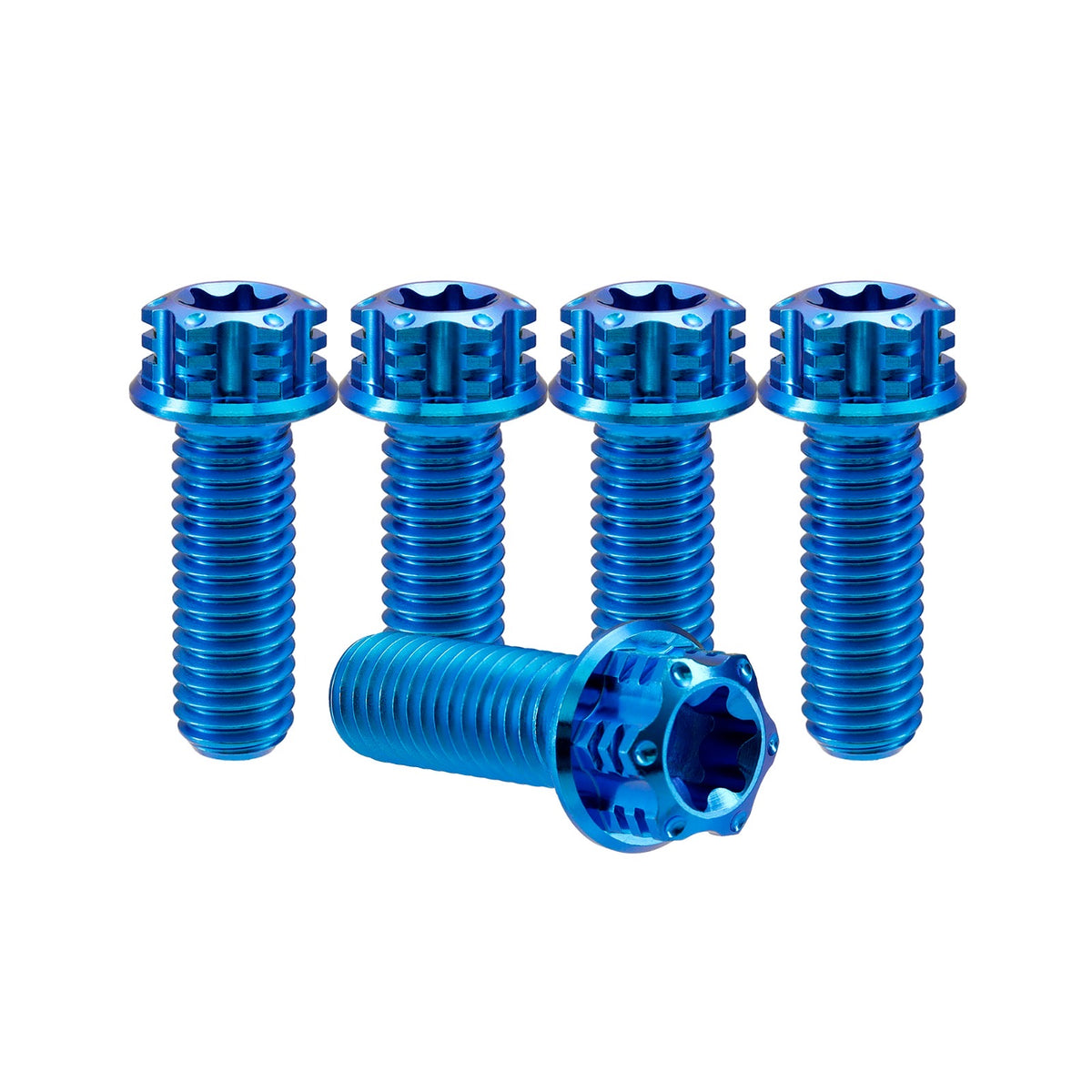 Titanium M8 Bolts T40 Torx - 5 Stück