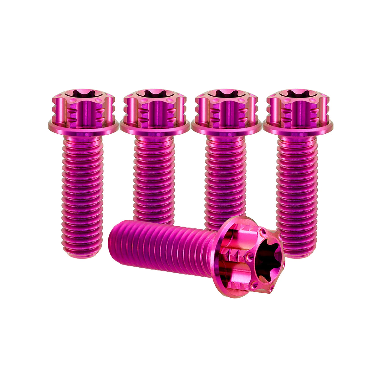 Titanium M8 Bolts T40 Torx - 5 Stück