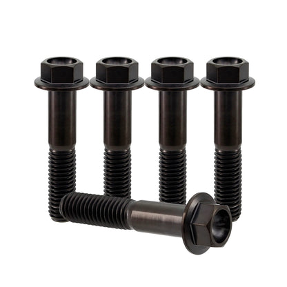 Titanium M5 Bolts – 5 Stück