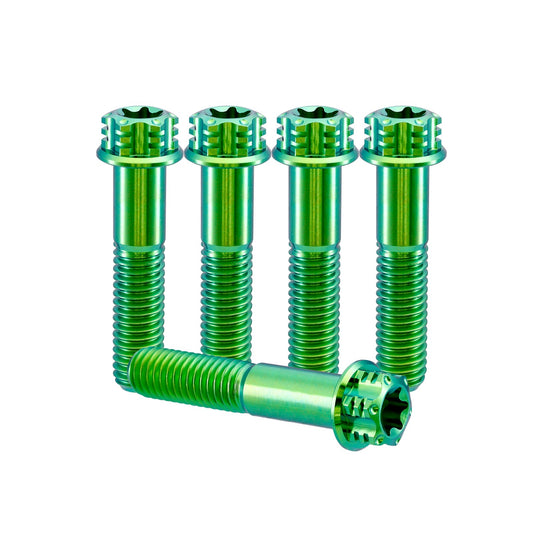 Titanium M6 Bolts T30 Torx - 5 Stück
