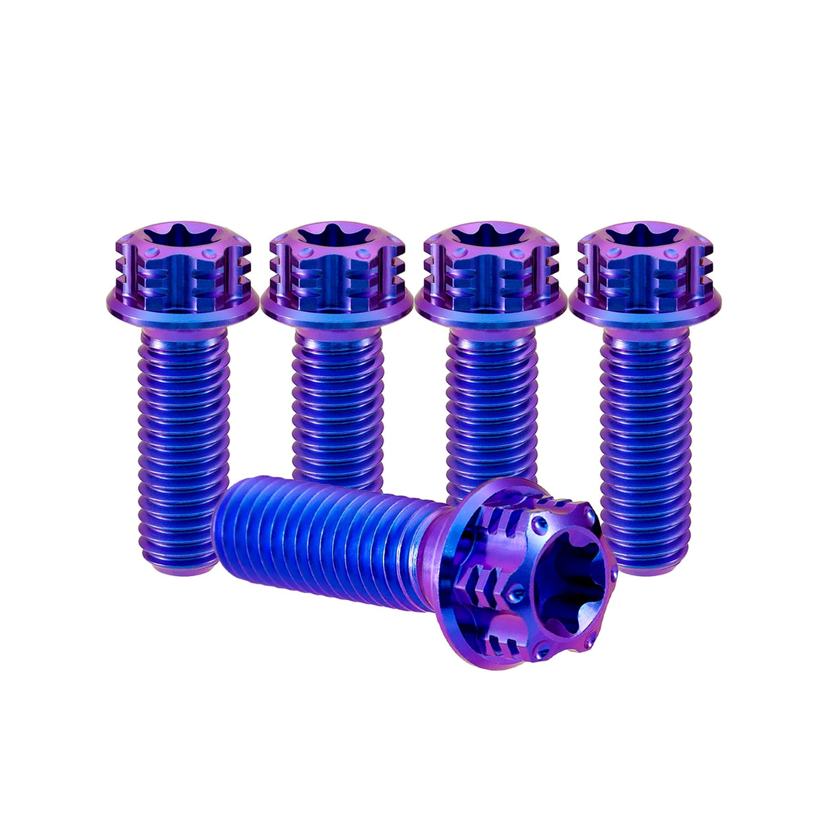 Titanium M8 Bolts T40 Torx - 5 Stück