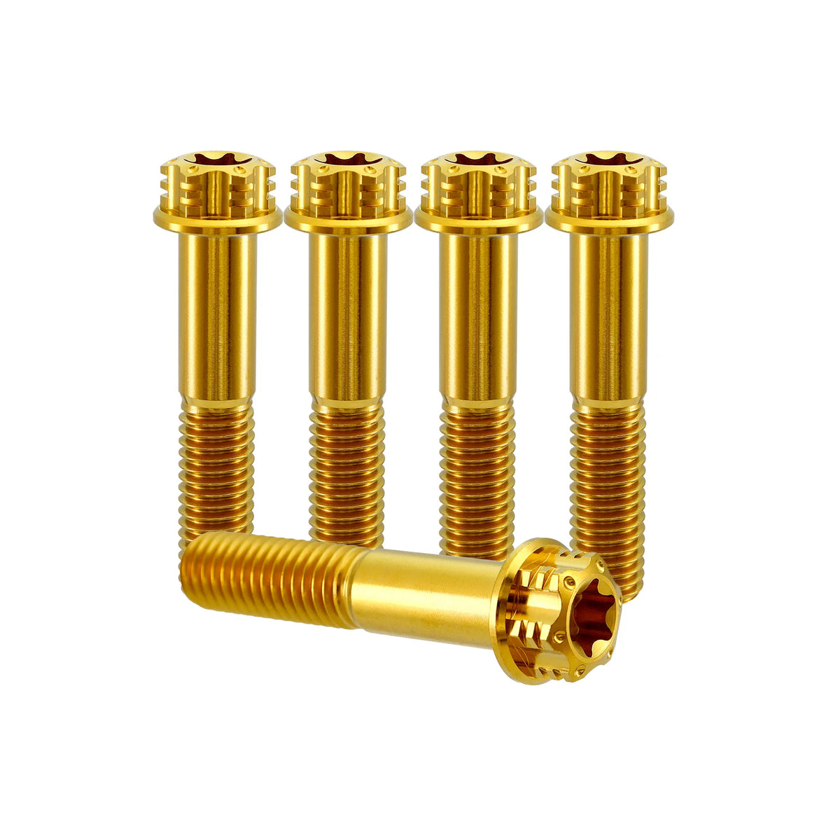 Titanium M6 Bolts T30 Torx - 5 Stück