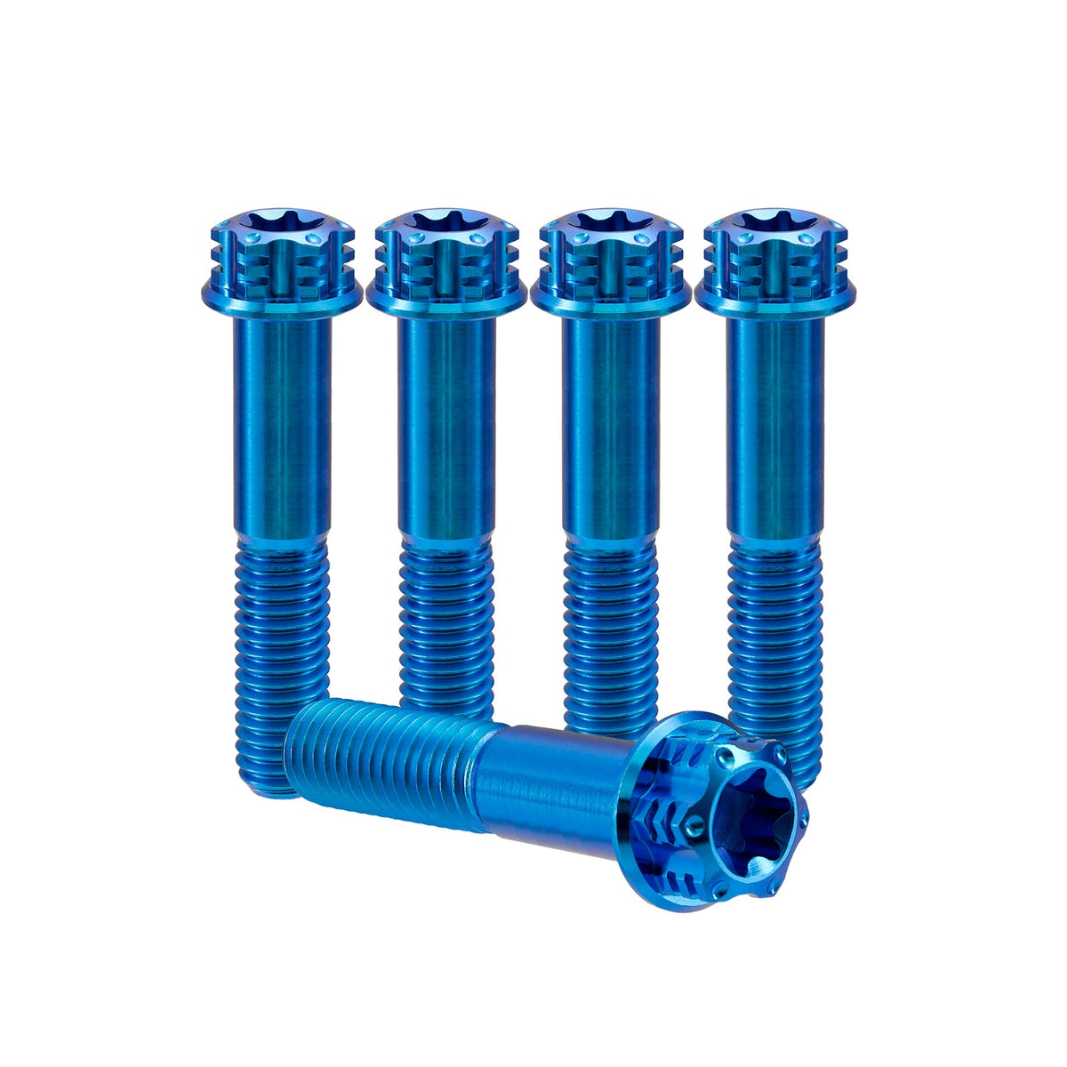 Titanium M6 Bolts T30 Torx - 5 Stück