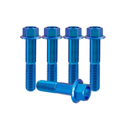 Titanium M6 Bolts - 5 Stück