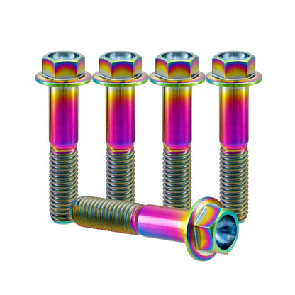 Titanium M6 Bolts - 5 Stück