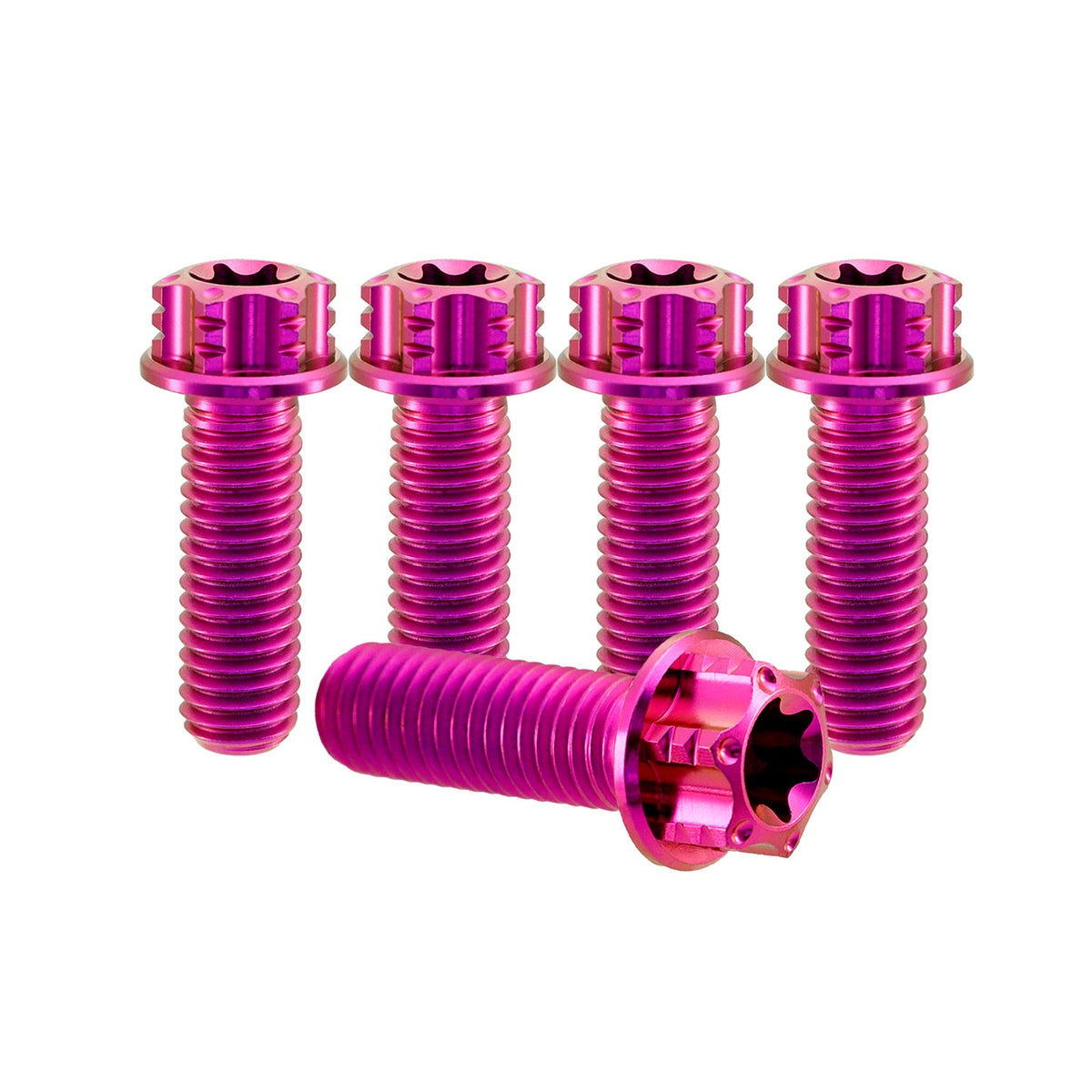 Titanium M6 Bolt T30 Torx - 5 Stück