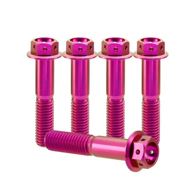 Titanium M10x1.25 Bolt – 5 Stück