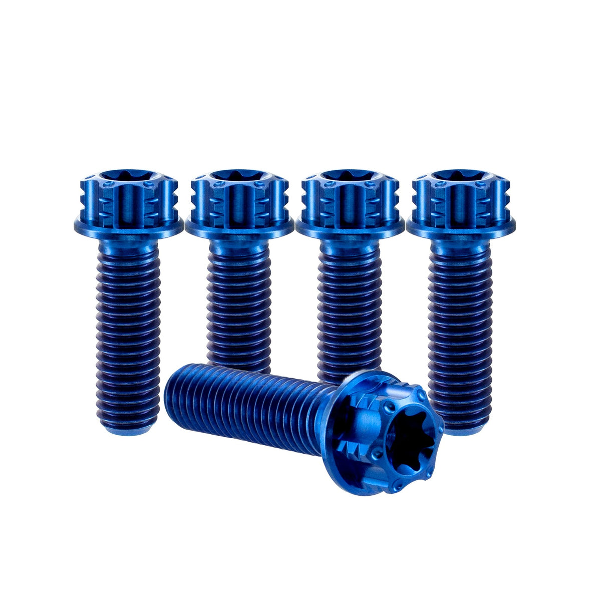 Titanium M8 Bolts T40 Torx - 5 Stück
