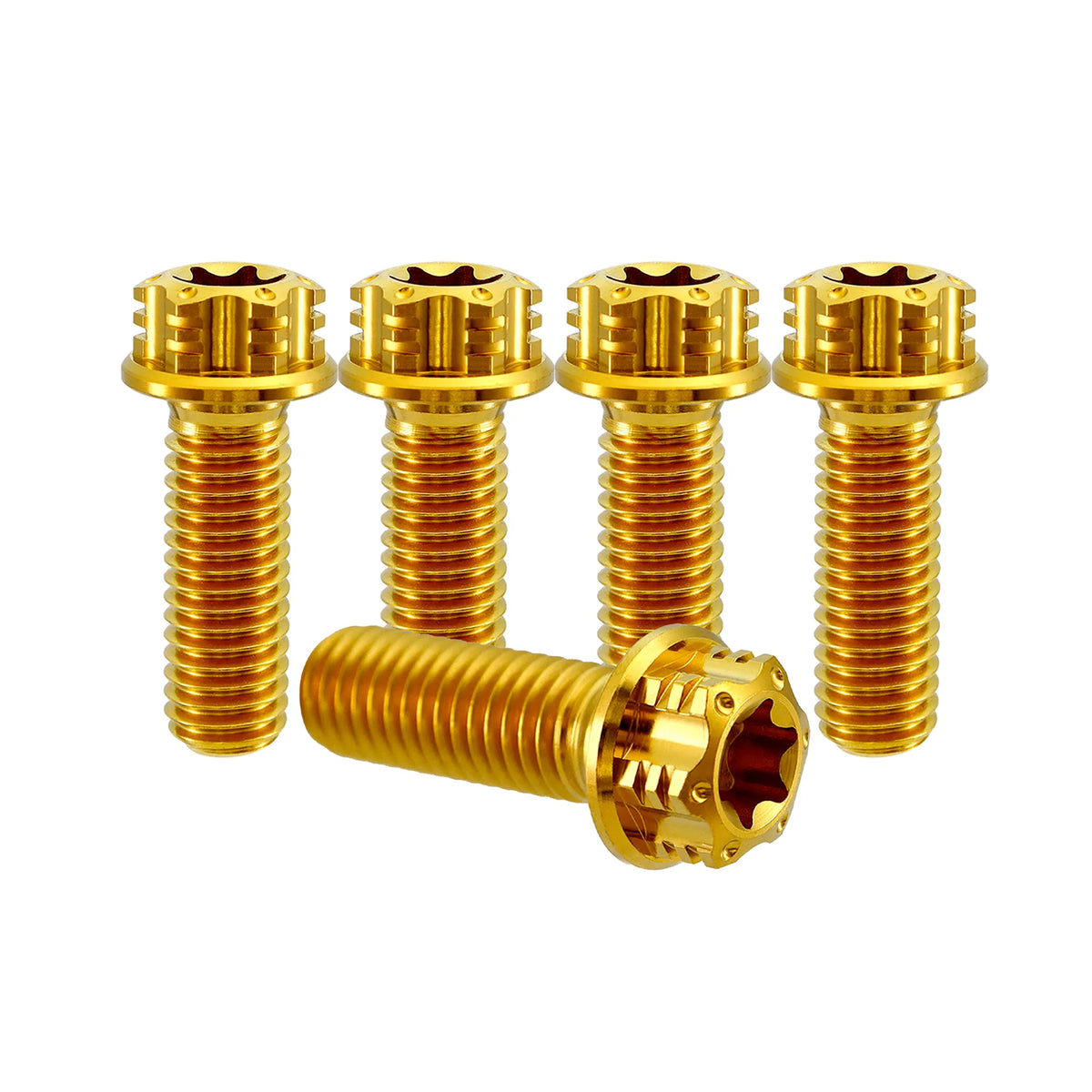 Titanium M8 Bolts T40 Torx - 5 Stück